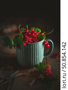 Sprigs of juicy redcurrants spill out of a green ribbed cup resting on a wooden board next to garden shears, creating a rustic still life. Стоковое фото, фотограф Ольга Ильина / Фотобанк Лори