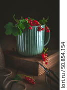 Sprigs of juicy redcurrants spill out of a green ribbed cup resting on a wooden board next to garden shears, creating a rustic still life. Стоковое фото, фотограф Ольга Ильина / Фотобанк Лори