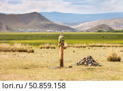Traditional Serge pole with colored ribbons in Tazheran steppe near shore of Baikal Lake. Sacred Mount Erd visible in the distance during the festival time. Elantsy, Olkhon district, Siberia, Russia. Стоковое фото, фотограф Виктория Катьянова / Фотобанк Лори
