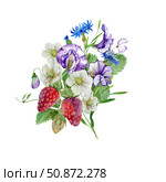 sweet peas and cornflowers flowers in a bouquet with ripe strawberries, buds and foliage, watercolor. Стоковая иллюстрация, иллюстратор Екатерина Тимонова / Фотобанк Лори