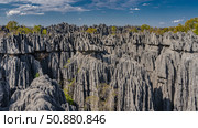 Incredible mountain landscape. Steep karst cliffs with furrowed slopes and sharp spiny peaks. Green vegetation on the rocks. Blue sky, clouds. Madagascar. Tsingy De Bemaraha. (2023 год). Стоковое фото, фотограф Вера Ивановна Кубарева / Фотобанк Лори