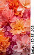 Floral Abundance: A tapestry of orange, pink and peach dahlias creating an atmosphere of warmth and serenity. Стоковое AI-изображение, AI-художник Данила Большаков / Фотобанк Лори