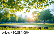 Summer Serenity: Tranquil Park Bench Under Sun-Dappled Leaves, for Website Header or Relaxing Promotion. Стоковое AI-изображение, AI-художник Данила Большаков / Фотобанк Лори