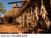Drying fish hanging from wooden structure in front of traditional hut. Стоковое AI-изображение, AI-художник Иван Рябоконь / Фотобанк Лори