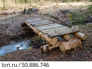 Самодельный  мост через овраг с ручьем в весеннем лесу. Стоковое фото, фотограф Pukhov K / Фотобанк Лори
