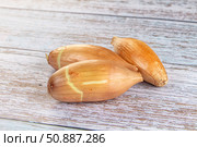 Ripe shallot onion for cooking. Стоковое фото, фотограф Андрей Старостин / Фотобанк Лори