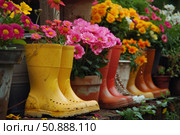 Colorful rain boots repurposed as flower pots bringing vibrancy to garden. Стоковое AI-изображение, AI-художник Иван Рябоконь / Фотобанк Лори