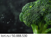 Fresh broccoli florets with water droplets splashing on dark background. Стоковое AI-изображение, AI-художник Иван Рябоконь / Фотобанк Лори