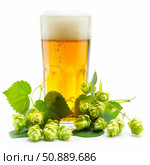 Glass of lager beer with fresh hops and leaves on white background. Стоковое AI-изображение, AI-художник Иван Рябоконь / Фотобанк Лори