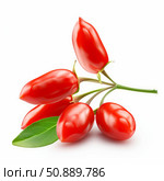 Branch of goji berries with leaf lying on white surface. Стоковое AI-изображение, AI-художник Иван Рябоконь / Фотобанк Лори