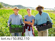 Cheerful farmers standing in field with harvested peppers and eggplants. Стоковое фото, фотограф Яков Филимонов / Фотобанк Лори