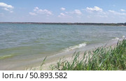 Берег Азовского моря. Стоковое видео, видеограф Ирина / Фотобанк Лори