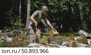 Worker Splitting Firewood with Splitting Axe in Forest - Traditional Wood Chopping and Log Splitting on Tree Stump - Manual Timber Processing in Woodland outdoor wood chopping, summer countryside day. Стоковое видео, видеограф Сергей Тимофеев / Фотобанк Лори