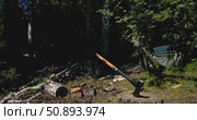 Chopped birch firewood and axe stuck in tree stump on sunny summer day in countryside, freshly split logs and wooden billets. Worker Splitting Firewood with Splitting Axe in Forest. Wood Chopping. Стоковое видео, видеограф Сергей Тимофеев / Фотобанк Лори