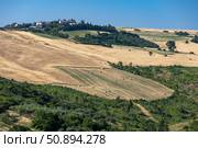 Италия. Апулья. Холмы с полями, покрытыми соломой и рулонами сена. Italy. Apulia. Hills with fields covered in straw and hay bales. Стоковое фото, фотограф Алексей Смышляев / Фотобанк Лори