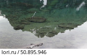 Отражения в воде. Стоковое видео, видеограф Игорь Дашко / Фотобанк Лори