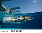 Springboard diver executing a graceful entry into the water with splashes and sunlight reflections. Стоковое AI-изображение, AI-художник Гайфуллина Дина / Фотобанк Лори