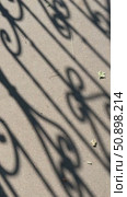 Shadow pattern on pavement creates intricate abstract design, perfect for background use. Стоковое видео, видеограф Анастасия Золотницкая / Фотобанк Лори