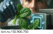 Biometric authentication with spinach: innovative security technology demonstration. Стоковое AI-видео, аниматор Владимир Федоров / Фотобанк Лори