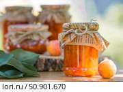 Preservation and summer harvest. Homemade healthy jelly, apricot jam. Preparing jars. Sweets and fruits. Стоковое фото, фотограф Photojuli / Фотобанк Лори