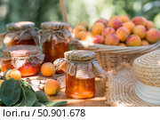 Preservation and summer harvest. Homemade healthy jelly, apricot jam. Preparing jars. Sweets and fruits. Стоковое фото, фотограф Photojuli / Фотобанк Лори