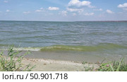 Волны, Азовское море, Павло-Очаковская коса. Стоковое видео, видеограф Ирина / Фотобанк Лори