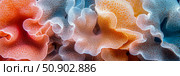 Macro of Orange and Blue Coral Polyps. Стоковое AI-изображение, AI-художник Данила Большаков / Фотобанк Лори