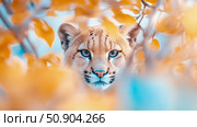Close up Portrait of a Cougar in a dreamy colorful setting. Стоковое AI-изображение, AI-художник Данила Большаков / Фотобанк Лори