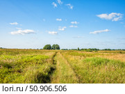 Грунтовая дорога среди лугов (Артёмовские луга) Стоковое фото, фотограф Илья Старков / Фотобанк Лори