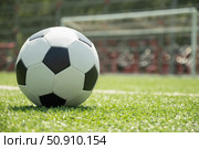 Soccer Ball on Field in Front of Goal Post. Стоковое фото, фотограф Светлана Лажко / Фотобанк Лори