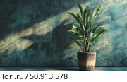 succulent century plant ai generated. Стоковое AI-изображение, AI-художник Vectorwin / Фотобанк Лори