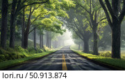 trees forrest road ai generated. Стоковое AI-изображение, AI-художник Vectorwin / Фотобанк Лори