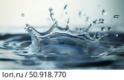 scent water smell ai generated. Стоковое AI-изображение, AI-художник Vectorwin / Фотобанк Лори