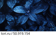 cobalt dark blue ai generated. Стоковое AI-изображение, AI-художник Vectorwin / Фотобанк Лори