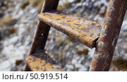 foldable metal ladder ai generated. Стоковое AI-изображение, AI-художник Vectorwin / Фотобанк Лори