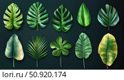 palm tropical leaves set ai generated. Стоковое AI-изображение, AI-художник Vectorwin / Фотобанк Лори