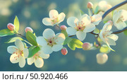 save spring clearance ai generated. Стоковое AI-изображение, AI-художник Vectorwin / Фотобанк Лори