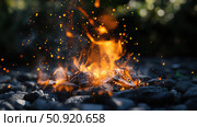 kindling start fire ai generated. Стоковое AI-изображение, AI-художник Vectorwin / Фотобанк Лори