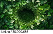 chlorophyll plant circle ai generated. Стоковое AI-изображение, AI-художник Vectorwin / Фотобанк Лори