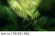 shade palm tree leaves ai generated. Стоковое AI-изображение, AI-художник Vectorwin / Фотобанк Лори