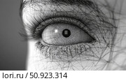 optometry growing eye ai generated. Стоковое AI-изображение, AI-художник Vectorwin / Фотобанк Лори