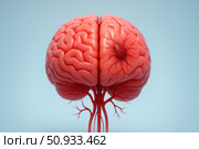 A Detailed Exploration of the Human Brain’s Structure and Functionality: Understanding Neurons, Blood Vessels, and Cognitive Processes. Стоковое AI-изображение, AI-художник Башкирова Анна / Фотобанк Лори