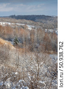 First snow. Birches and other deciduous trees are covered with the first snow. Стоковое фото, фотограф Анищенко Геннадий / Фотобанк Лори