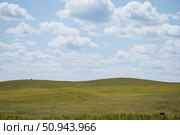 Поля для гольфа, Sviyaga Hills Golf Club. Стоковое фото, фотограф Людмила Гращенкова / Фотобанк Лори