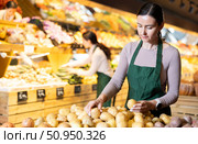 Female employee informs about arrival of ripe potato, advertises product. Стоковое фото, фотограф Яков Филимонов / Фотобанк Лори