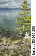 Baikal Lake at summer sunny day. Vertical video of coast of Olkhon Island with green larch tree and transparent blue water of Small Sea strait on July. Scenic landscape. Summer travels. Стоковое видео, видеограф Виктория Катьянова / Фотобанк Лори