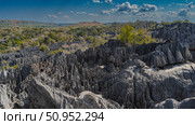 Beautiful Madagascar landscape. Gray karst rocks with steep, furrowed slopes and sharp peaks stretch to the horizon. Green vegetation in the valley. Blue sky, clouds. Tsingy De Bemaraha. Стоковое фото, фотограф Вера Ивановна Кубарева / Фотобанк Лори