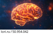 synapses flickering brain ai generated. Стоковое AI-изображение, AI-художник Vectorwin / Фотобанк Лори