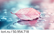 foliage melting leaf ai generated. Стоковое AI-изображение, AI-художник Vectorwin / Фотобанк Лори