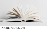 An open book with fanned white pages, conveying the concept of learning and endless possibilities, suitable for educational or literary applications. Стоковое AI-изображение, AI-художник Данила Большаков / Фотобанк Лори